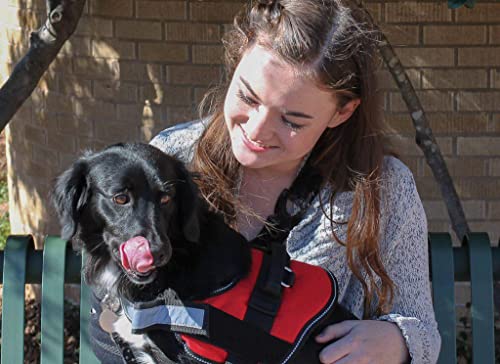 Arnés ajustable para perros sin tirones, tejido reflectante con acolchado cómodo para perros, chaleco para mascotas no chocking (rojo pequeño)