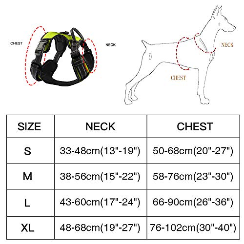 Arnés Antitirones de Perro Pequeño Mediano Grande Arnes Pecho Perros con Control de Manija y con Linea Reflectante, Ajustable Cómodo Acolchado Arnes Chaleco Perro para Adiesreamiento(Verde,XL)