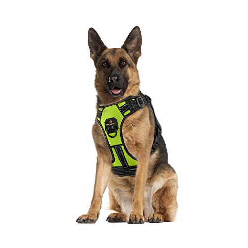 Arnés Antitirones de Perro Pequeño Mediano Grande Arnes Pecho Perros con Control de Manija y con Linea Reflectante, Ajustable Cómodo Acolchado Arnes Chaleco Perro para Adiesreamiento(Verde,XL)