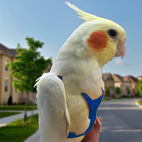 Arnés de loros ajustable para pájaros para mascotas, correa de cuerda de entrenamiento al aire libre, correa elástica antimordedura para pájaros, loros, cacatúas guacamayos (azul, XS)