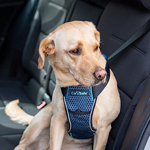 Arnés de Seguridad a Prueba de colisiones, Certificado hasta 32 kg, sujeción Segura para el Perro en el Coche, diseño cómodo y Acolchado, para Perros Extra-pequeños, pequeños, medianos y Grandes.