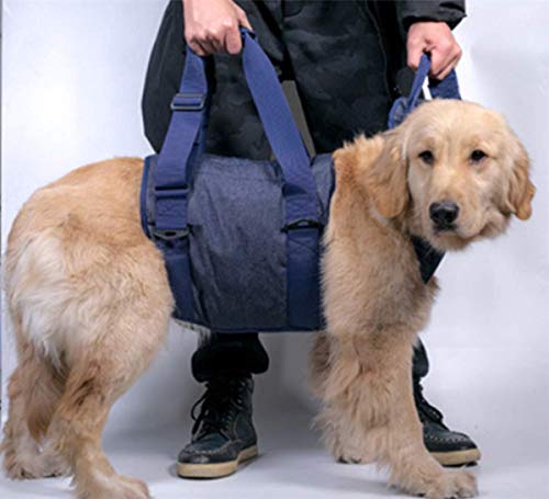 Arnés de Soporte para Levantamiento de Cuerpo Completo para Perros - Rehabilitación de Mascotas Asistencia para Caminar Eslingas La Correa Ayuda al Perro a Ponerse de pie con Lesiones Artritis, (M