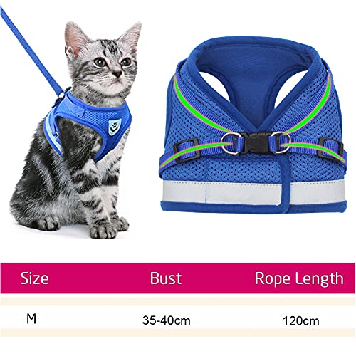 Arnés para Gatos con Correa,Nesloonp Reflectante Ajustable Pequeña Vest Harness para Correr, Correas de Entrenamiento para Gatos, Cachorros, Mascotas Pequeñas (M, Azul)