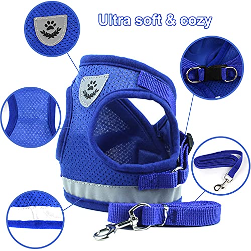 Arnés para Gatos con Correa,Nesloonp Reflectante Ajustable Pequeña Vest Harness para Correr, Correas de Entrenamiento para Gatos, Cachorros, Mascotas Pequeñas (M, Azul)