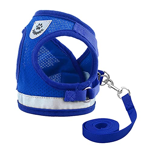 Arnés para Gatos con Correa,Nesloonp Reflectante Ajustable Pequeña Vest Harness para Correr, Correas de Entrenamiento para Gatos, Cachorros, Mascotas Pequeñas (M, Azul)