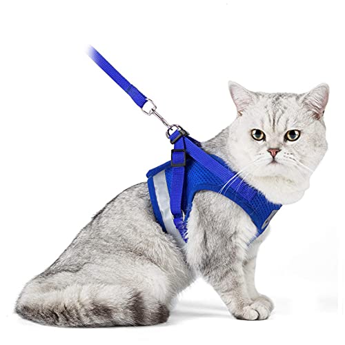 Arnés para Gatos con Correa,Nesloonp Reflectante Ajustable Pequeña Vest Harness para Correr, Correas de Entrenamiento para Gatos, Cachorros, Mascotas Pequeñas (M, Azul)