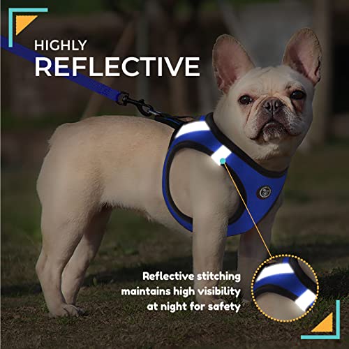 Arnes para Perro Pequeño - Chaleco Antitirones Reflectante, Ajustable y Transpirable - Malla Comoda y Suave para Cachorros - Adaptado para Coche (XS, Azul)