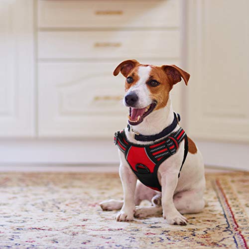 Arnés para perro sin tirones, con clip frontal con asa, reflectante, fácil control, para entrenamiento al aire libre, caminar al aire libre, pequeño, arnés de malla acolchada, ligero y ajustable