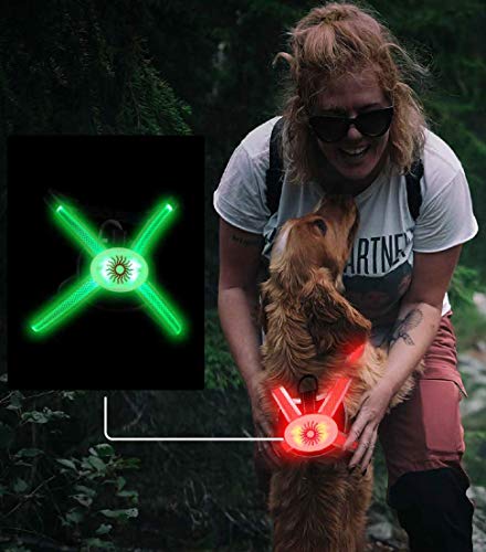 Arnés para Perros Luminoso Acolchado con Leds de Colores RGB (Rojo)