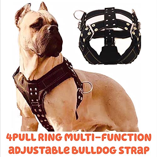 Arnés para perros para perros grandes, arnés para perros Pit Bull, collar para perros grandes, correa al por mayor, chaleco para perros, collar, productos de moda para mascotas, accesorios(negro,m)