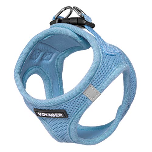 Arnés para perros Voyager Step-in Air – Malla para todo tipo de clima, arnés para perros pequeños y medianos por Best Pet Supplies – azul bebé (ajuste de ajuste), L (pecho: 18-21") (207T-BBW-L)