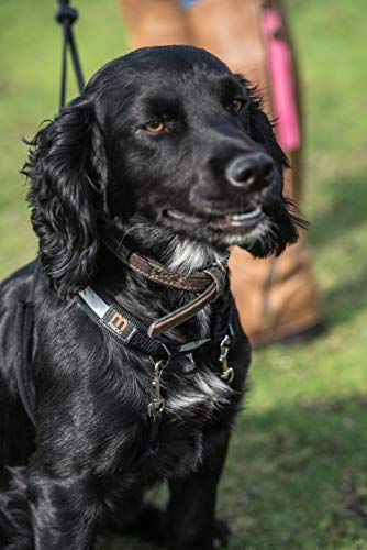 Arnés para Perros y Cachorros de Mikki -No más tirones, tirones, ahogamiento - Se Ajusta a Todas Las guías - Pequeño