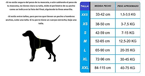 Arnés Personalizado para Perros - Estampado - Reflectante - Incluye 2 Etiquetas Personalizables con Nombre - Todos los Tamaños (Estampado, M 12,5-20KG) (XS 3-7KG, Camuflaje)