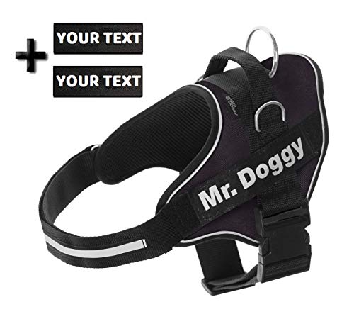 Arnés Personalizado para Perros - Reflectante - Incluye 2 Etiquetas con Nombre - Todos los Tamaños - De Calidad y Resistente (M 12-20KG, Negro)