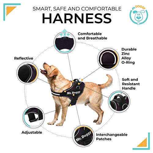 Arnés Personalizado para Perros - Reflectante - Incluye 2 Etiquetas con Nombre - Todos los Tamaños - De Calidad y Resistente (M 12-20KG, Negro)