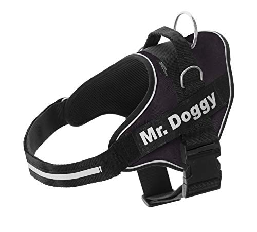 Arnés Personalizado para Perros - Reflectante - Incluye 2 Etiquetas con Nombre - Todos los Tamaños - De Calidad y Resistente (M 12-20KG, Negro)