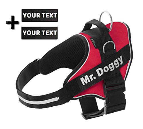 Arnés Personalizado para Perros - Reflectante - Incluye 2 Etiquetas con Nombre - Todos los Tamaños - De Calidad y Resistente (M 12-20KG, Rojo)