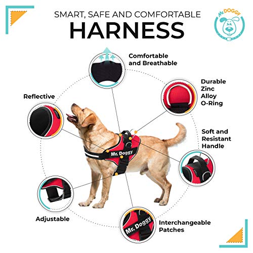 Arnés Personalizado para Perros - Reflectante - Incluye 2 Etiquetas con Nombre - Todos los Tamaños - De Calidad y Resistente (M 12-20KG, Rojo)