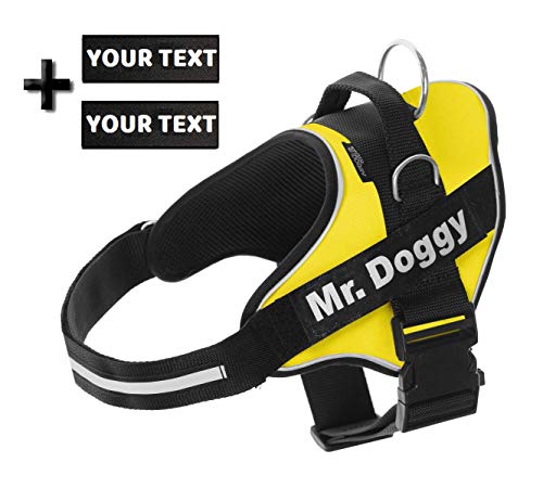 Arnés Personalizado para Perros - Reflectante - Incluye 2 Etiquetas con Nombre - Todos los Tamaños - De Calidad y Resistente (XXS 1,5-3,5KG, Amarillo)