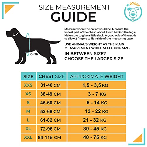 Arnes Personalizado para Perros - Tamaño Pequeño, Mediano y Grande - Incluye 2 Etiquetas con Nombre - Pechera para Perros Reflectante y Seguro - De Calidad y Resistente (L 21-32KG, Blue Banana)