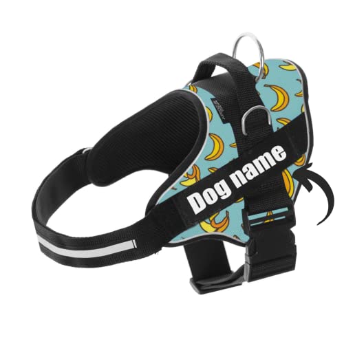 Arnes Personalizado para Perros - Tamaño Pequeño, Mediano y Grande - Incluye 2 Etiquetas con Nombre - Pechera para Perros Reflectante y Seguro - De Calidad y Resistente (L 21-32KG, Blue Banana)