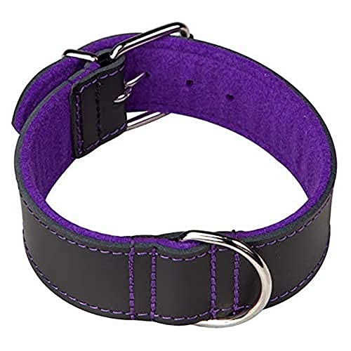 Arppe 1948015517 Collar Cuero Superfelt Choppers, Negro y Purpura