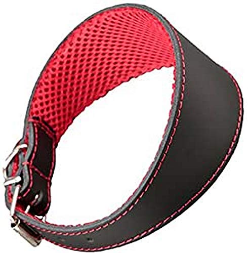 Arppe 195376045100 Collar Galgo Cuero Forro 3D Amazone, Negro y Rojo