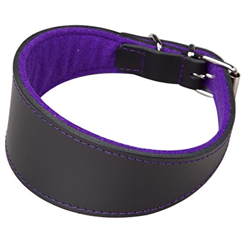 Arppe 2154014511 Collar Galgo Cuero Superfelt, Negro y Morado