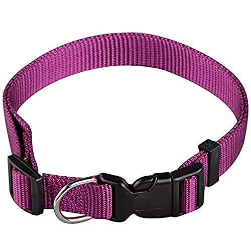 Arppe 2240011011 - Collar Nylon Basic, Morado, XS, 1 unidad