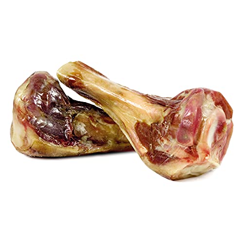 Arquivet - 12 Medios Huesos de jamón Serrano 100% Natural - Snacks Naturales para Perros de Todas Las Razas - Premios, recompensas, chuches para Perros - Hueso masticable para Perros