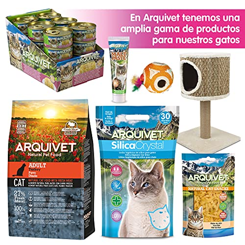 Arquivet Bolsa Transportín negro para pequeñas mascotas - Talla S: 37 x 23 x 14 cm - Perros adultos, cachorros, gatos y otros - Mochila con rejilla de ventilación para perros y gatos