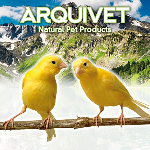 Arquivet Comedero de Acero Inoxidable Loro con palomita 150 ml para pájaros - Accesorios para Aves - Alimentador para pájaros - Contenedor de Comida para Aves