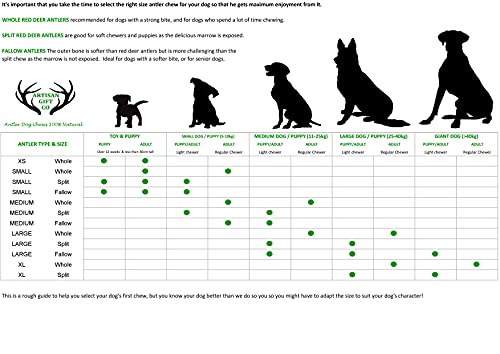 ARTISAN GIFT CO Mordedor Ecológico para Perros de Asta de Ciervo 100% Natural – Talla S (2 unds.) - Peso mínimo Combinado 100 grs.