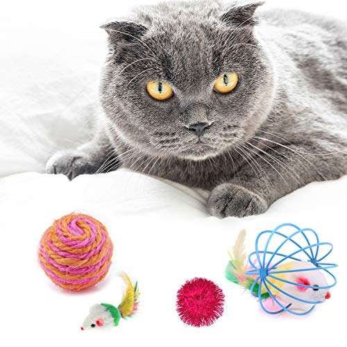 ASANMU Juguete Interactivo para Gatos, 20 Piezas Juguetes para Gatos Ratón y Bolas Varias con Campanas y Plumas, Cabezas de Repuesto Catnip Ball Juguete Gatos Raton Mascota Gato Juguetes Gatito