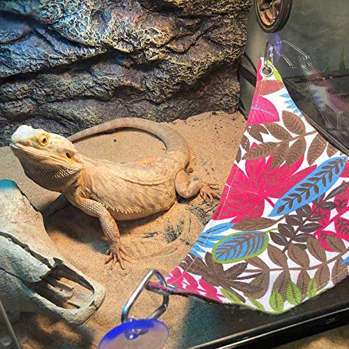 ASOCEA Hamaca de dragón barbudo de reptil, cama colgante con ventosas, tumbona, escalera, accesorios para terrario, decoración de hábitat para Geckos, lagartos, serpientes y otros animales pequeños