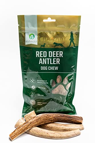 Asta de Ciervo para Perros - Asta de Ciervo para Perros elaborada con asta de Ciervo roja Natural y cuidadosamente seleccionada, Rica en proteínas y minerales. (3 Piezas, Talla M)