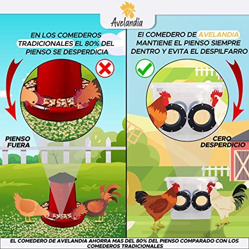 AVELANDIA Comedero para gallinas XXL antidespilfarro 30KG + 2 Bebederos 5 litros de Regalo: Sistema Anti Lluvia y Anti Desperdicio. Aprovecha el 100% del pienso (4negro)