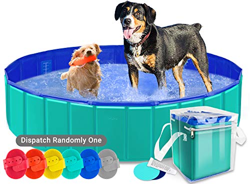 AYITOO Bañera para Perros, PVC Antideslizante y Resistente al Desgaste Piscina para Mascotas Perros, Bañera Plegable de Mascotas para Mascotas, Natación Piscina para Perros 160 cm x 30 cm