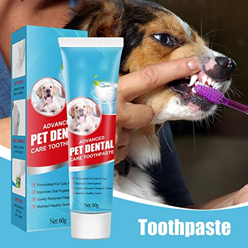 Aznever Pasta de Dientes para Perros 2 oz Limpiador para cepillar con Sabor a Menta Calmante eficaz | Pasta de Dientes Fresh Breath Dental Care diseñada para Ayudar a prevenir el sarro y Eliminar