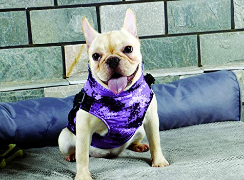 BABYDOG Abrigo Chaqueta para Perro, Caliente para Mascotas, Prenda de Vestir Invierno, Chaqueta de Invierno, Cazadora Perro con Forro Polar, Ropa para Perro, Trenca para Perro. (9L, Morado)