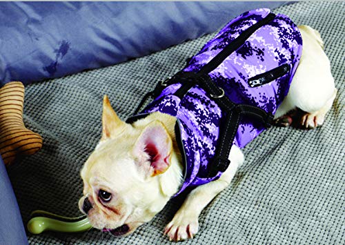 BABYDOG Abrigo Chaqueta para Perro, Caliente para Mascotas, Prenda de Vestir Invierno, Chaqueta de Invierno, Cazadora Perro con Forro Polar, Ropa para Perro, Trenca para Perro. (9L, Morado)