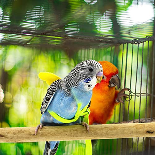 Balacoo Bird Arnés Correa Cuerda Voladora Correas Loro Cuerda De Tracción De Entrenamiento Al Aire Libre para Cacatúa Macaw Cockatiel Pájaro Pequeño