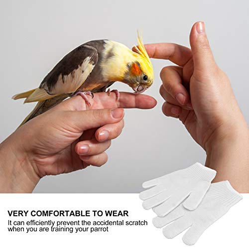 Balacoo Pájaro de Formación Anti- Picadura Guantes Perico de Guantes de Manipulación Pájaro Guantes de Manipulación para Periquito Conures Cacatúas Finch Guacamayo Africana Periquitos (1