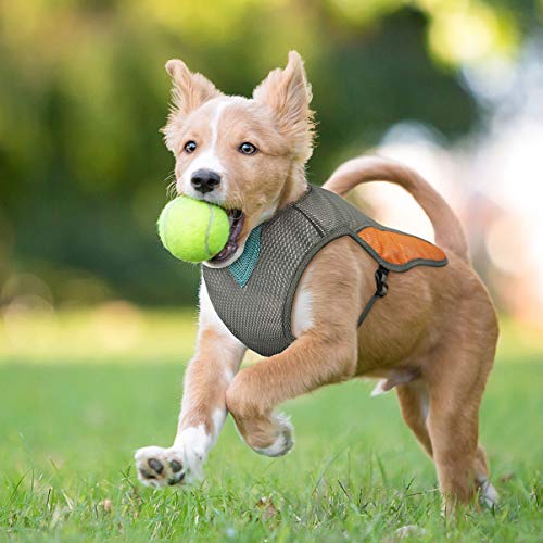 Balacoo Verano Anti- Ultravioleta Reflectante Mascota Perro Chaqueta de Refrigeración Al Aire Libre Cachorro Enfriador Chaqueta Arnés