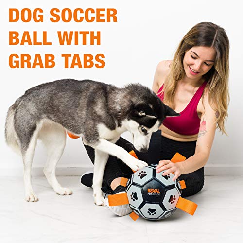 Balón de fútbol Flotante para Perros Royal Pets House con Correas para un fácil Agarre | Juguete Interactivo Ideal para Juegos acuáticos | Interior y Exterior | Mejor Juguete para Mascotas en 2021