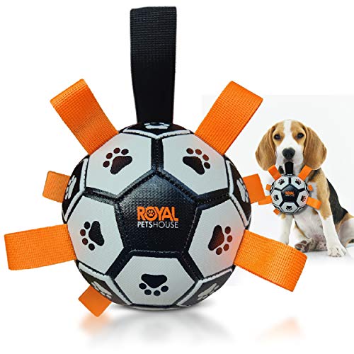 Balón de fútbol Flotante para Perros Royal Pets House con Correas para un fácil Agarre | Juguete Interactivo Ideal para Juegos acuáticos | Interior y Exterior | Mejor Juguete para Mascotas en 2021