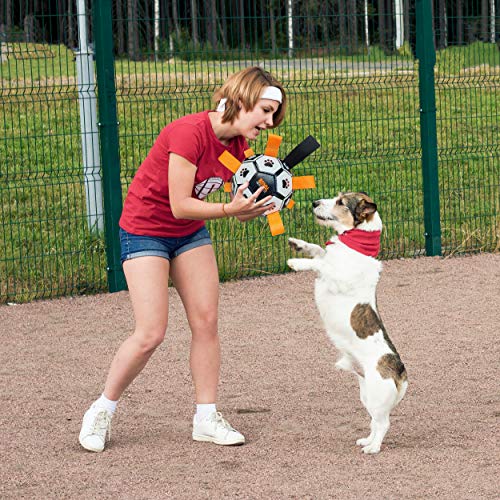 Balón de fútbol Flotante para Perros Royal Pets House con Correas para un fácil Agarre | Juguete Interactivo Ideal para Juegos acuáticos | Interior y Exterior | Mejor Juguete para Mascotas en 2021