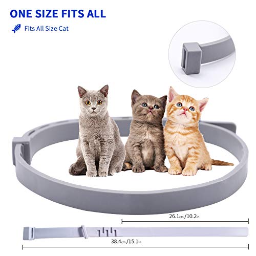 Banydoll Collar Tamaño Ajustable Impermeable para pulgas y garrapatas para Gatos, protección de 8 Meses, el Mejor Tratamiento para Control de pulgas para Gatos y Gatitos（38cm）