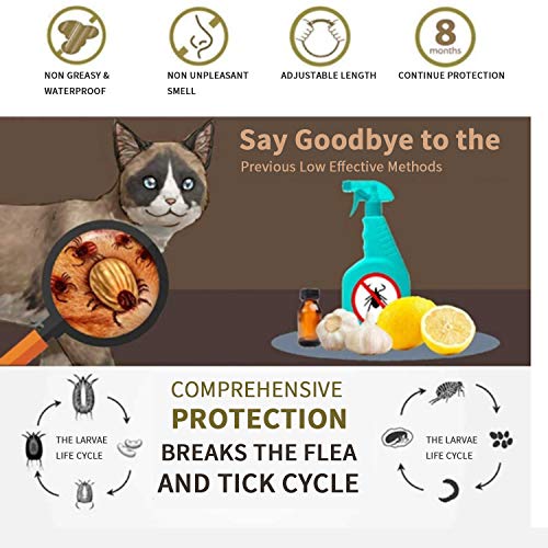 Banydoll Collar Tamaño Ajustable Impermeable para pulgas y garrapatas para Gatos, protección de 8 Meses, el Mejor Tratamiento para Control de pulgas para Gatos y Gatitos（38cm）