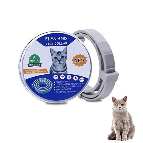 Banydoll Collar Tamaño Ajustable Impermeable para pulgas y garrapatas para Gatos, protección de 8 Meses, el Mejor Tratamiento para Control de pulgas para Gatos y Gatitos（38cm）